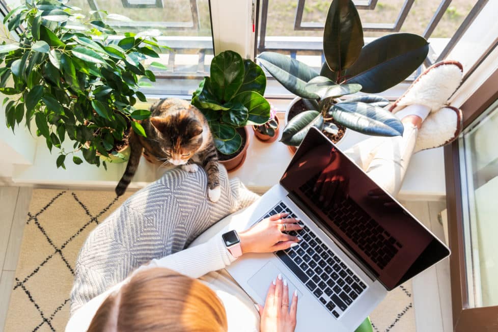 Im Homeoffice arbeiten im Nebenjob